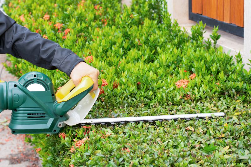 Hedge Shaping Service