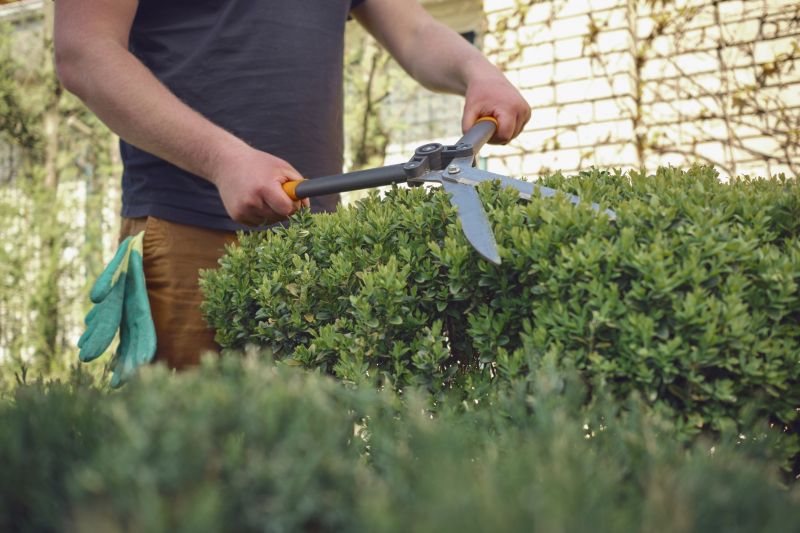 Tools Used in Shrub Trimming