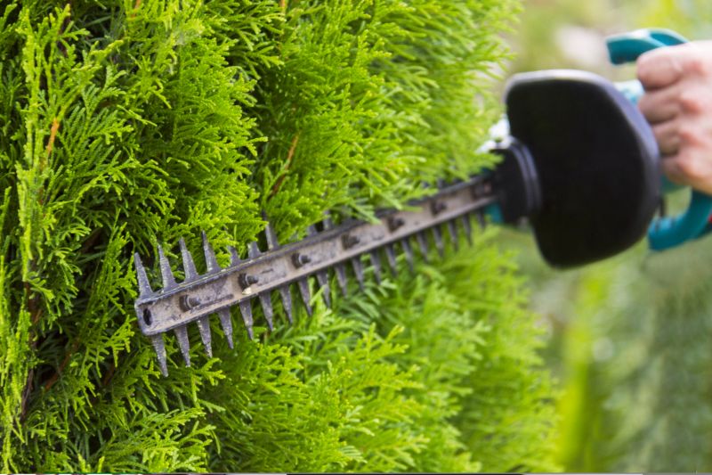 Shrub Maintenance Equipment