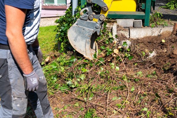 Hedge Removal Service in Jacksonville
